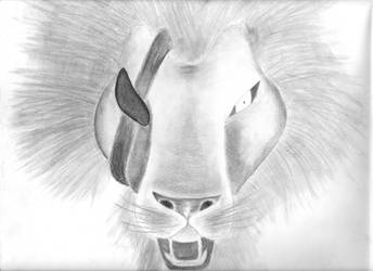 lion sketch