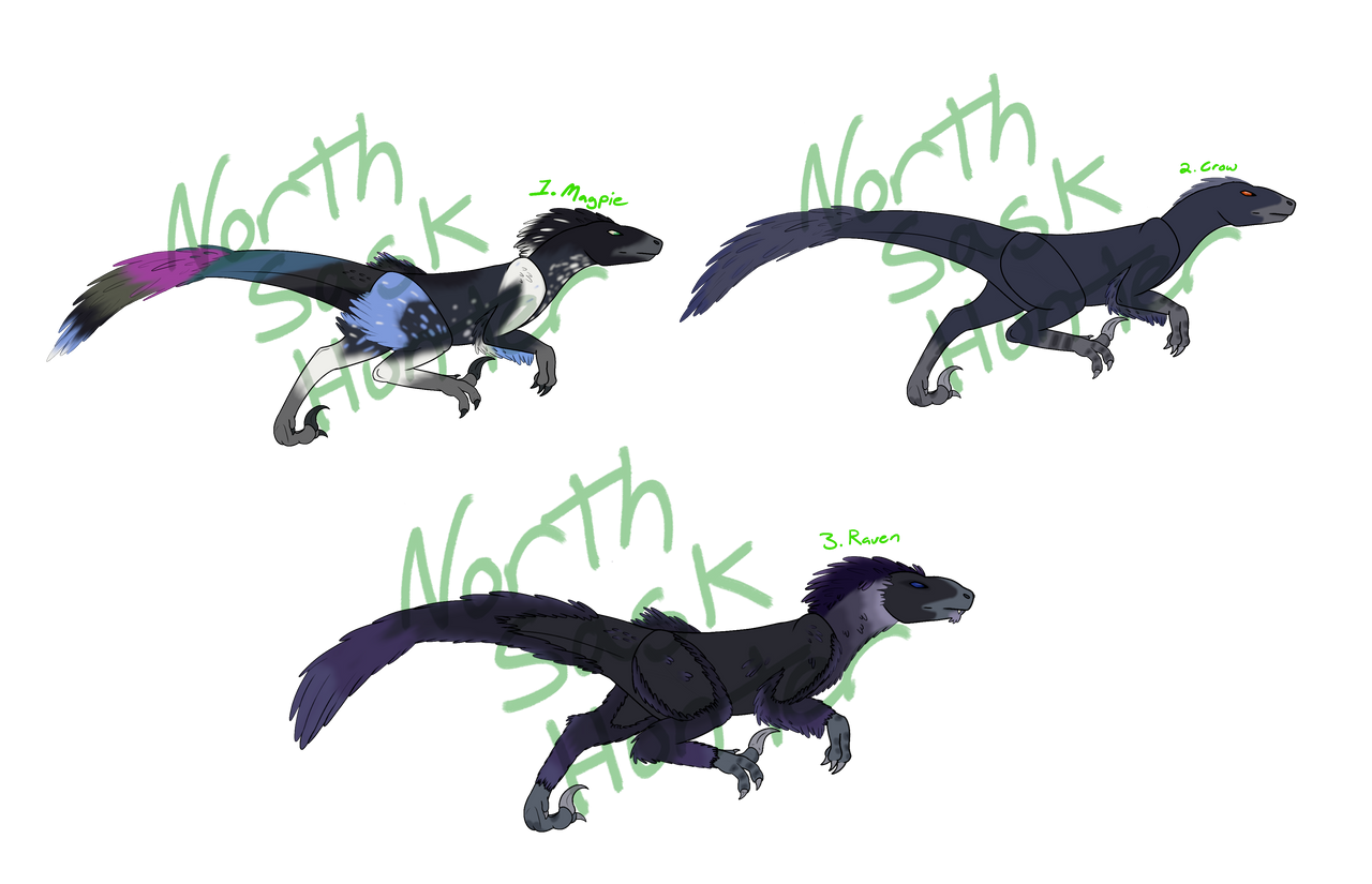 Corvid-Inspired Raptors (For Sale-Open) by thereal-K9DJ on DeviantArt