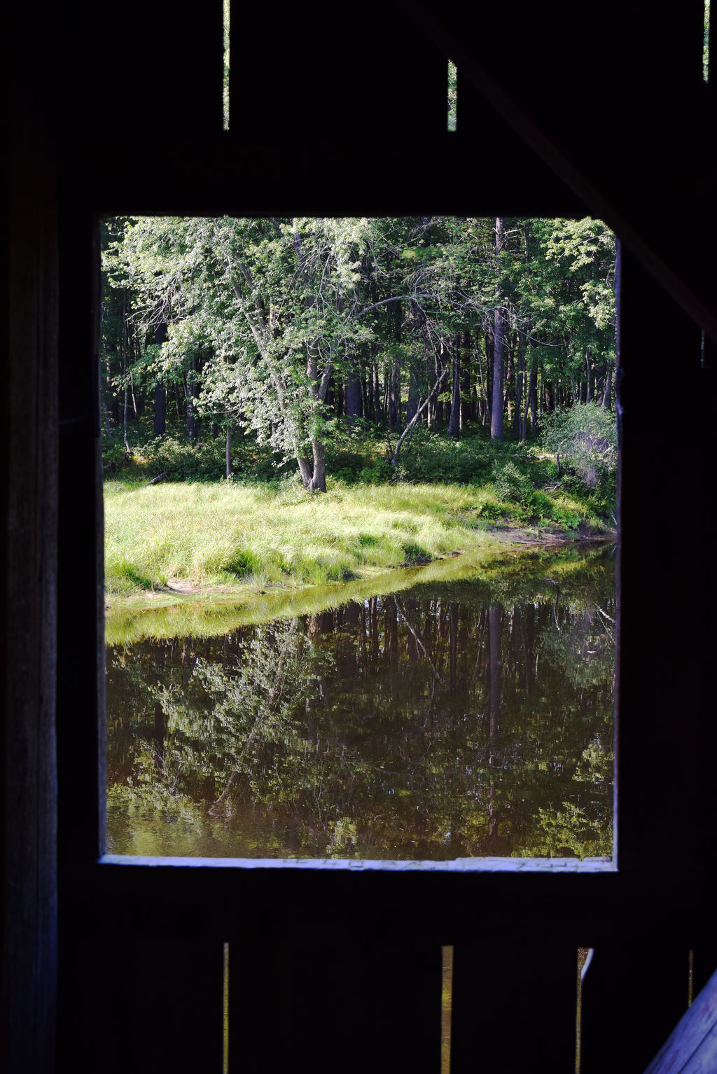 Bridge Window