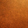 Leather Chair