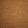 Carpet Texture