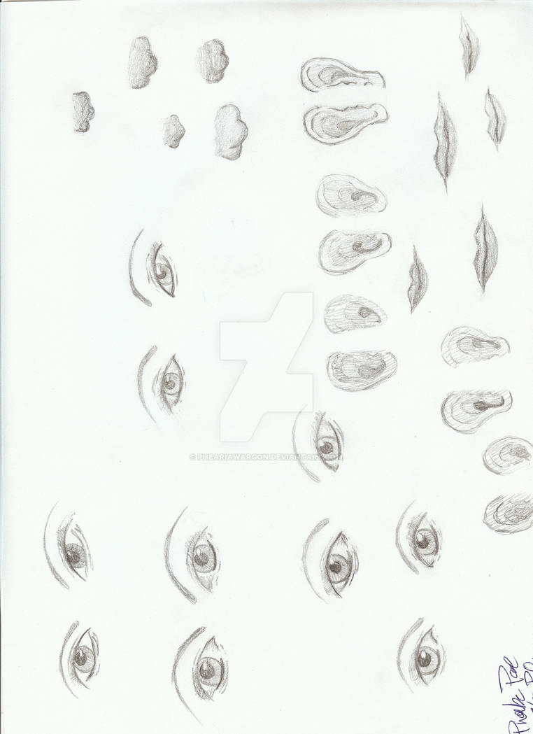 Facial feature practice. by PheariaWargon on DeviantArt