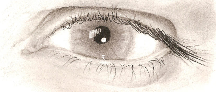 Charcoal Eye Study