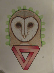 Barn owl thing