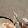 Nine ice cream
