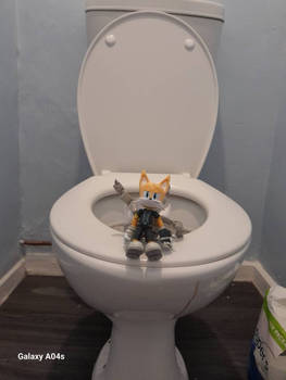 Nine stinks up the bathroom and Done 1000 poops