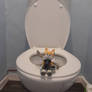 Nine stinks up the bathroom and Done 1000 poops