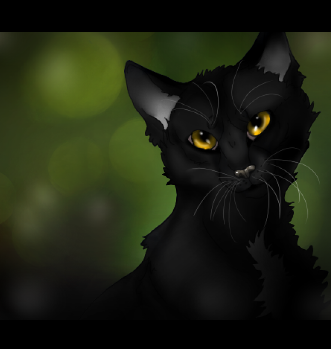 Warrior cats: Ravenpaw by DoubleHellhound on DeviantArt