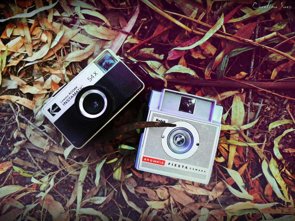 Cameras by Ayanade on DeviantArt
