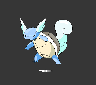 Wartortle 008