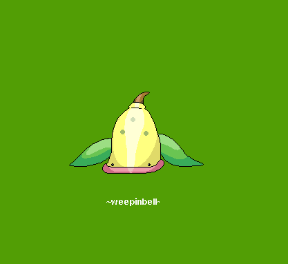 weepinbell 070