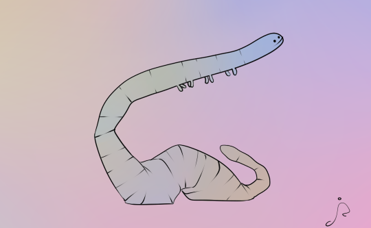 Worm