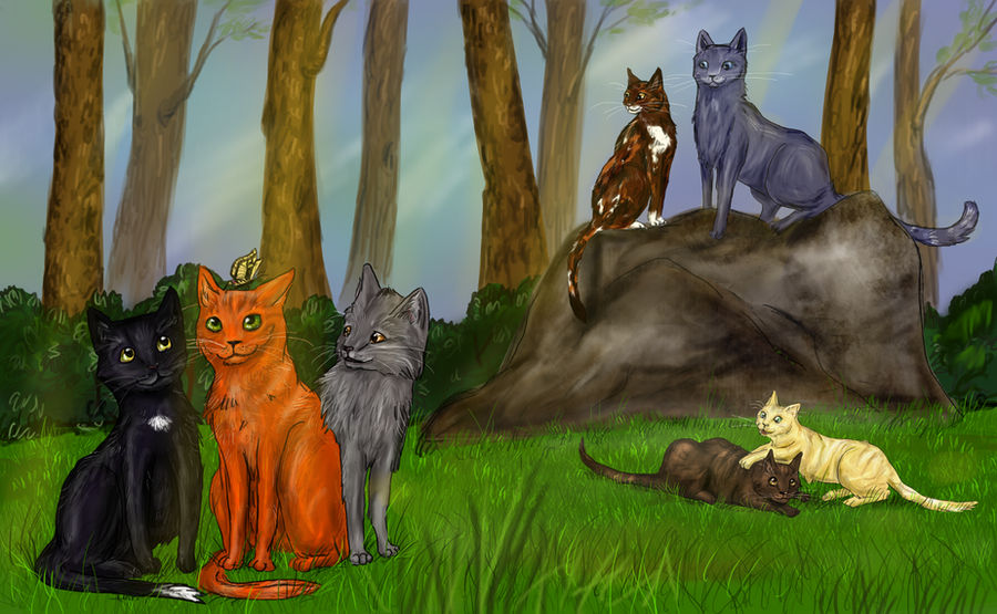 Warrior Cats - Into the wild