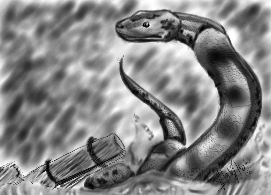 Anaconda by MountainDreamer on DeviantArt