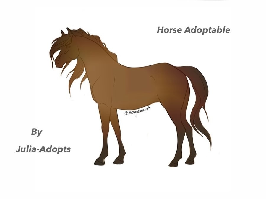 Horse Adoptable