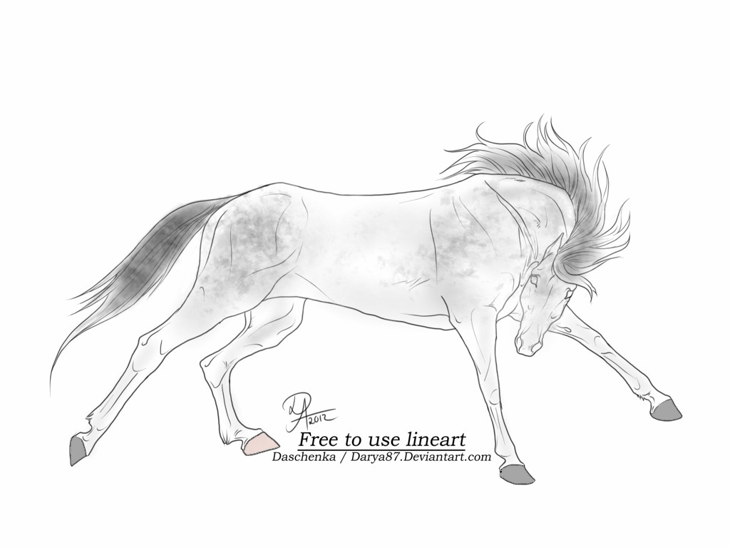 Horse Adoptable