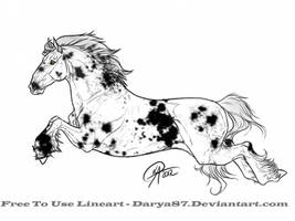 Horse Adopt