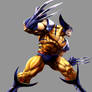 Marvel VS Capcom 2: Wolverine