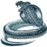 Crystal Snake