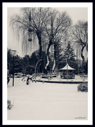 Winter from Ankara #1