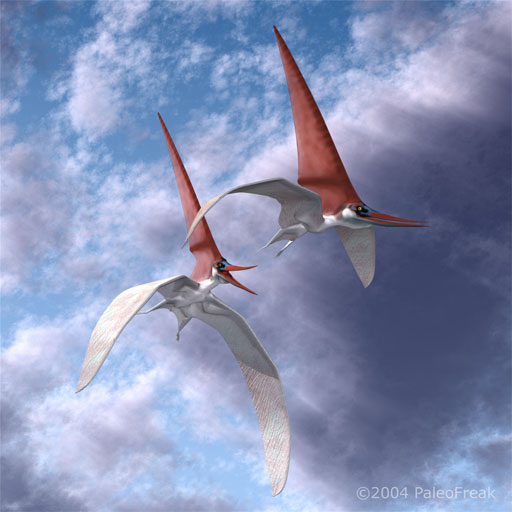 Nyctosaurus
