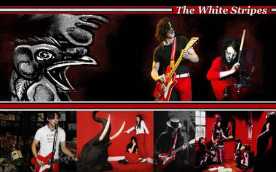 The White Birds