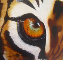 Eye of the tiger