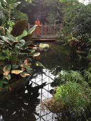 Monk in garden