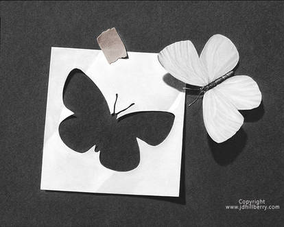 Paper Metamorphosis