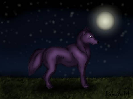 Purple dog