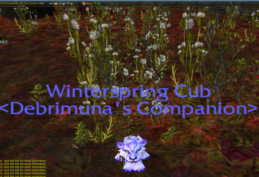 Winterspring cub by Foxstar92 on DeviantArt