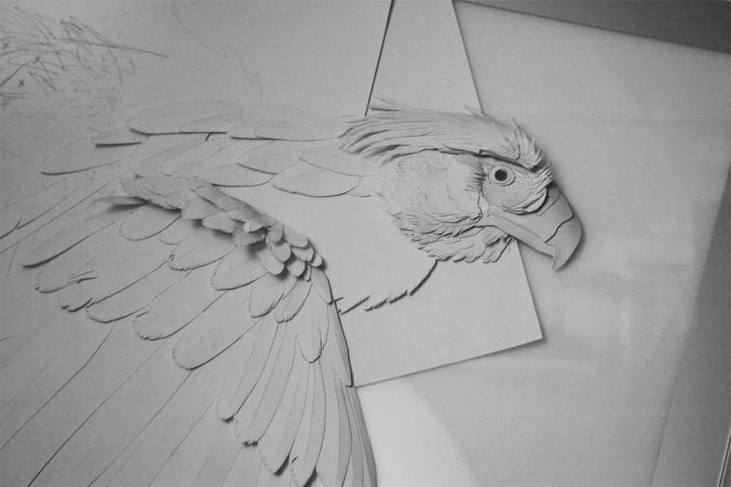 Philippine Eagle Paper Sculpture WIP by Earldense