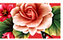 I love Roses - Stamp