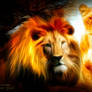 Lion Power