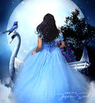 Cinderellas Dream