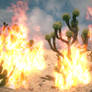 Desert on fire