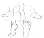 Foot Study by TwilightsDon