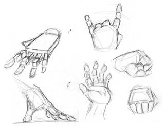 Hand Study