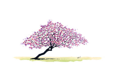 Pink Trumpet Tree by rod-roesler