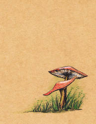 Mushrooms by rod-roesler