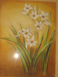 lillies