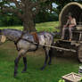 Medieval Wagon