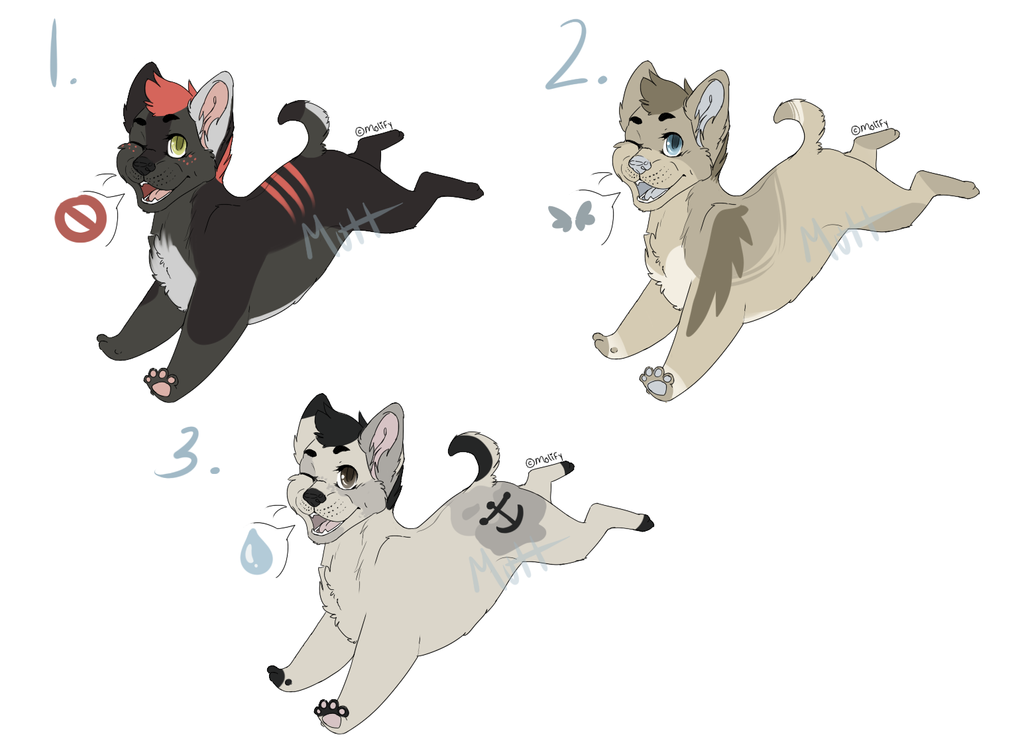 Point/PayPal:// Adopts: 1