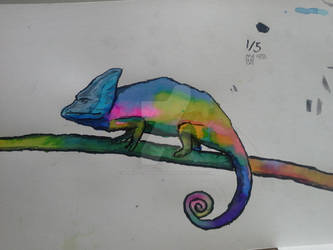 chameleon