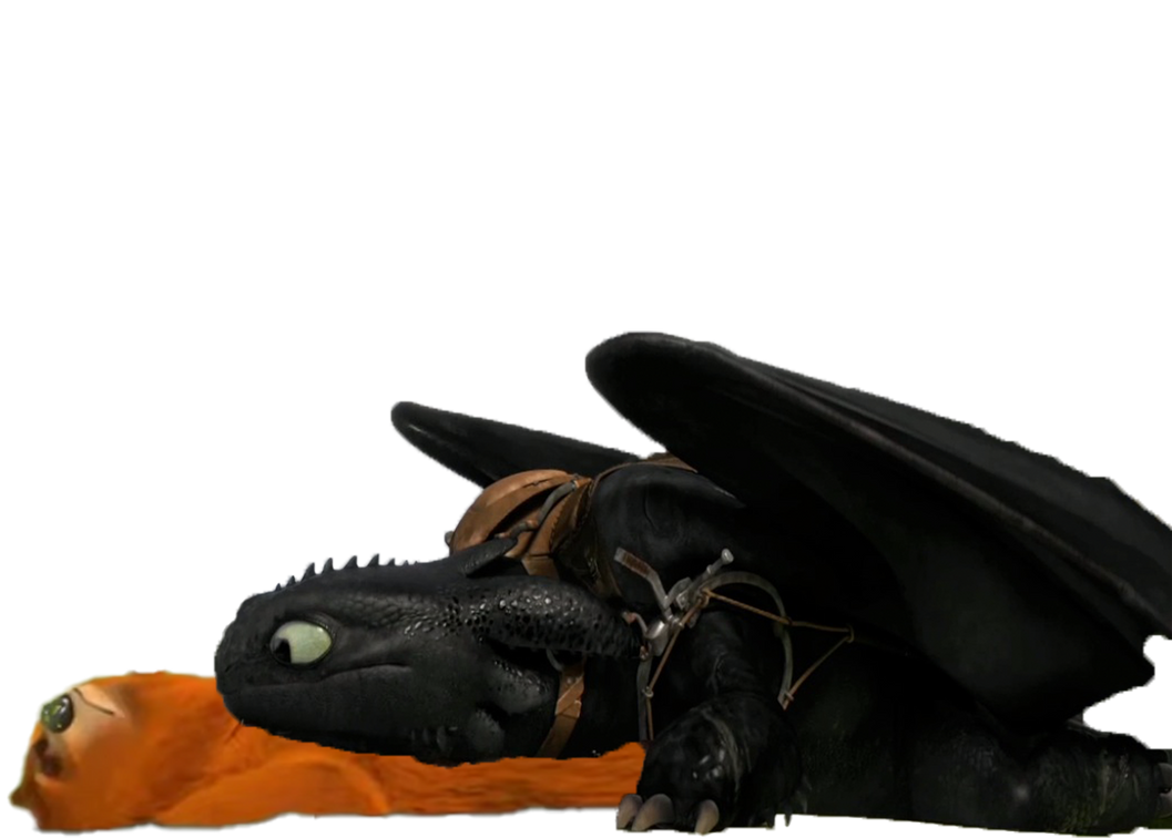BIGBear and Toothless laying down png by Kenailover3624 on DeviantArt