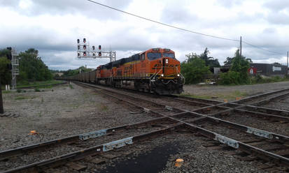 BNSF coal