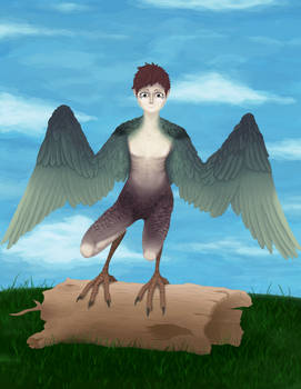 Finished Harpy project
