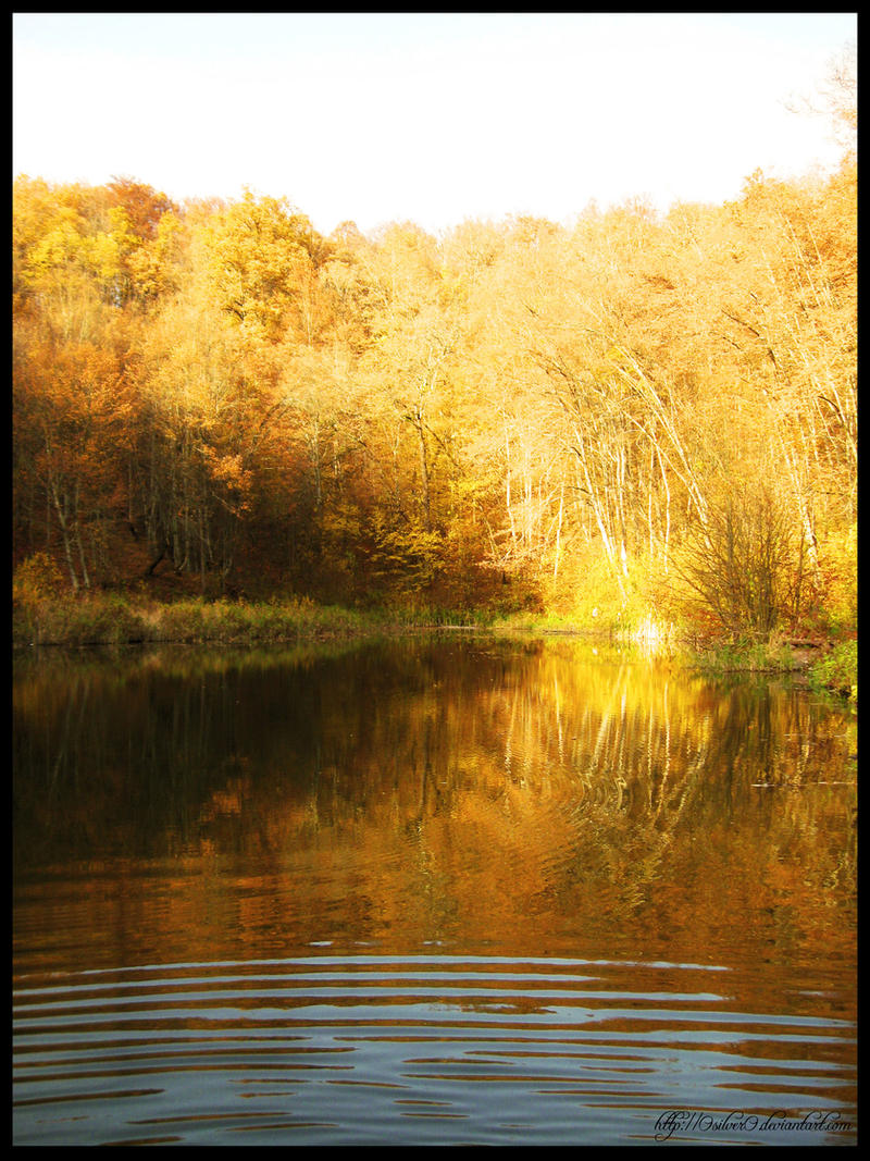 Autumn reflexion