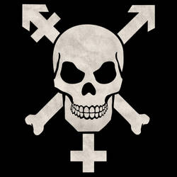 Trans Pirates