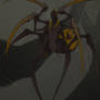 monsterBOY 06: spiderboy